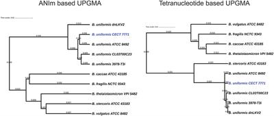 The Glycolytic Versatility of Bacteroides uniformis CECT 7771 and Its Genome Response to Oligo and Polysaccharides